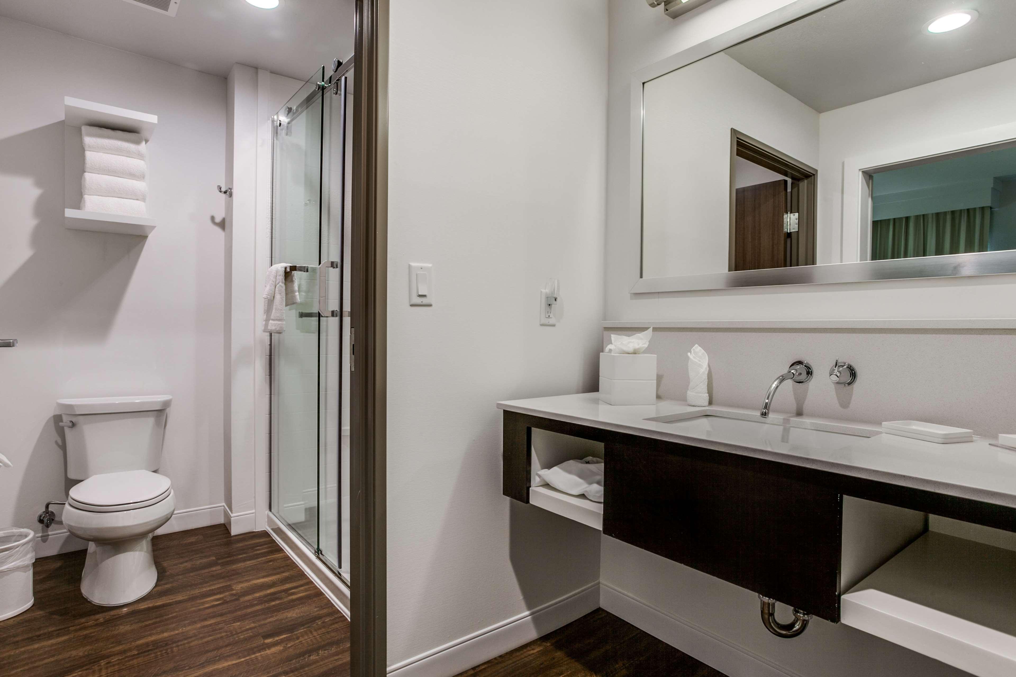 STUDIO, KING BED, SOFA, ACCESSIBLE