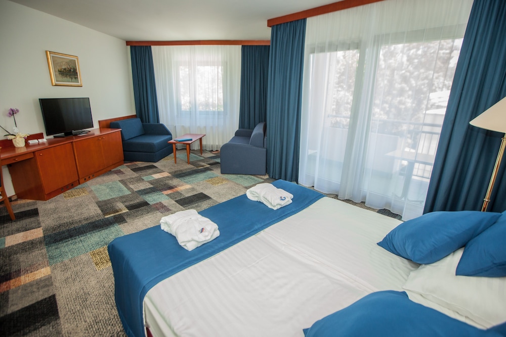 Hotel Toplice 13/50