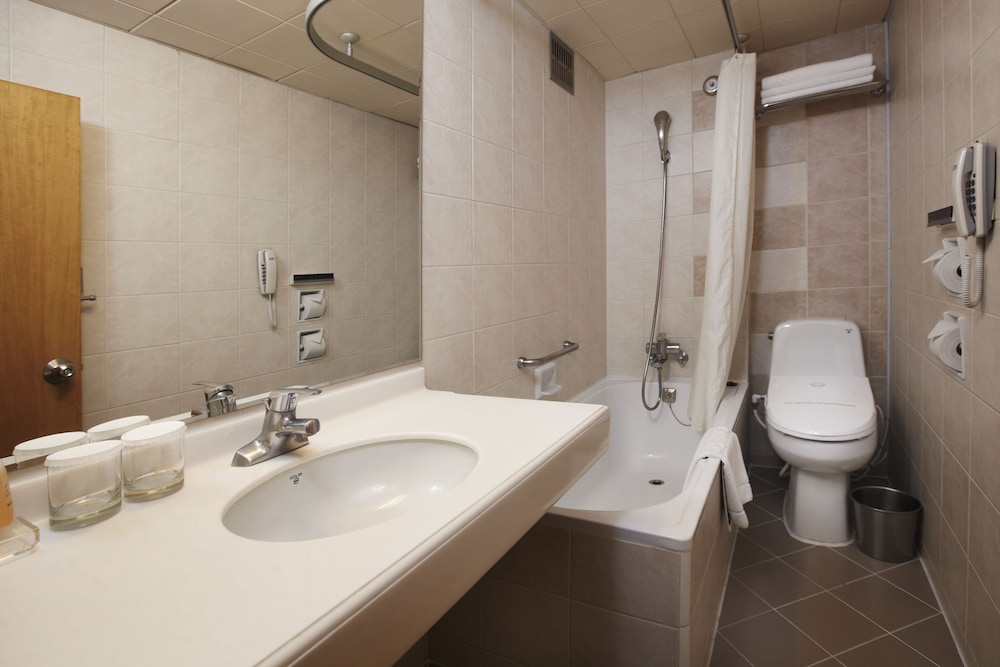Savoy Hotel Seoul Myeongdong 69/70