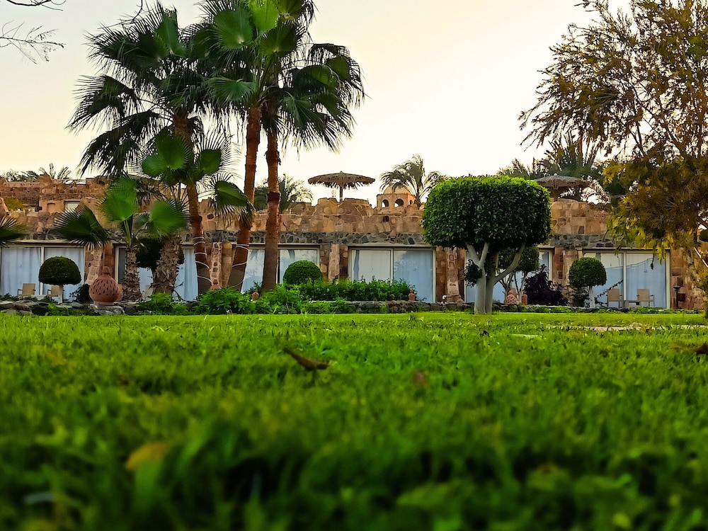 surroundings