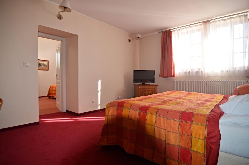 Hotel Dvorak Tabor 11/50
