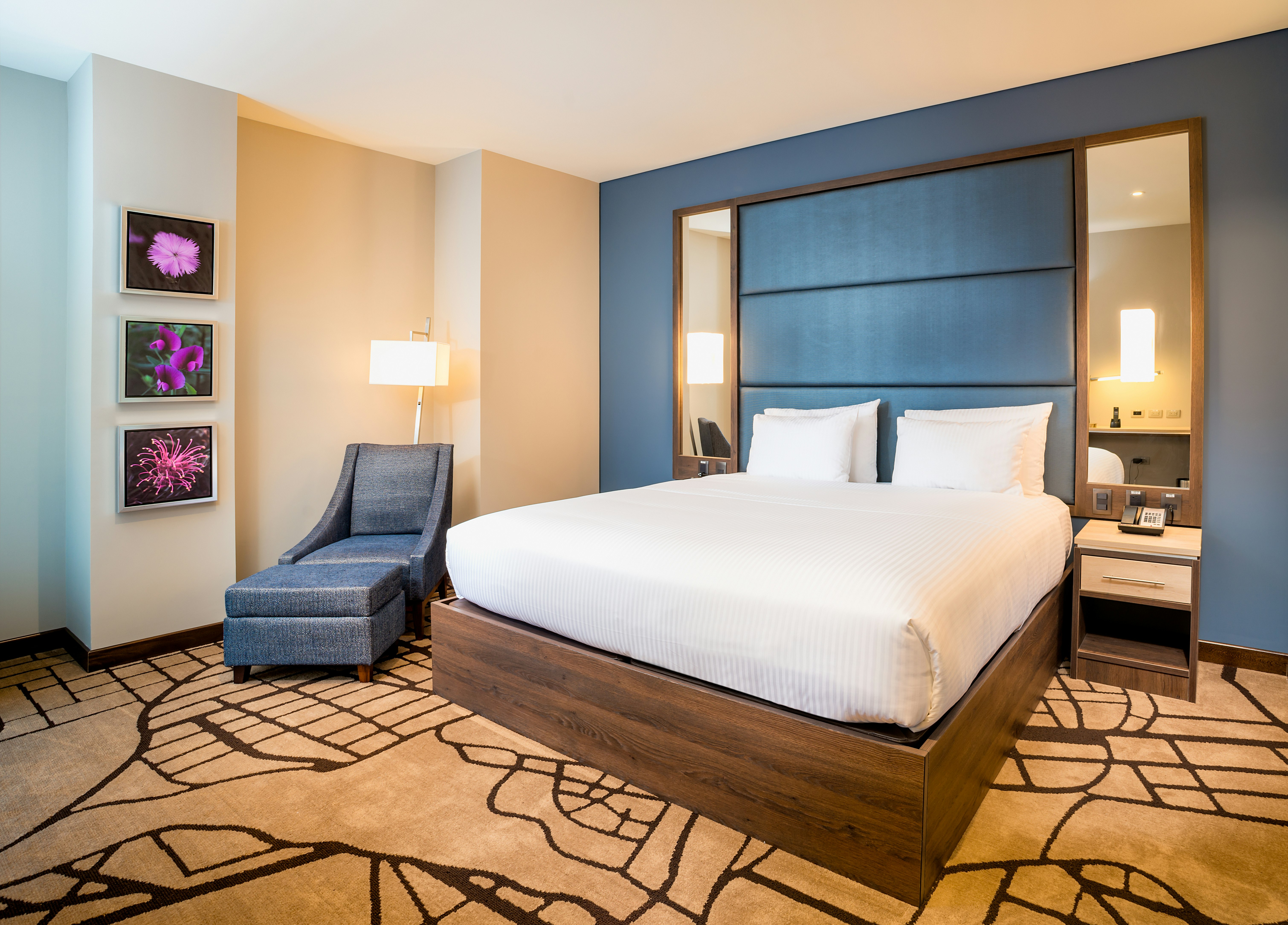 1 BEDROOM, SUITE, KING BED