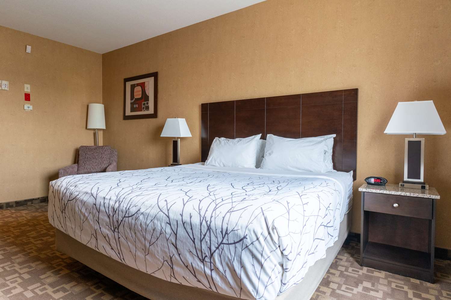 Best Western Plus South Edmonton Inn and Suites 4/32