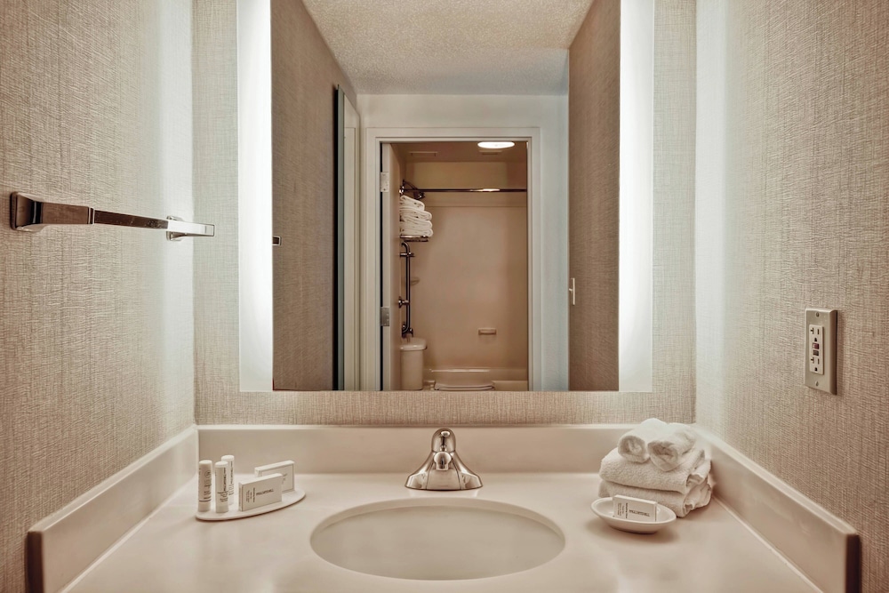 استوديو بسرير كينج مع أريكة لذوي الإعاقة، Springhill Suites Baltimore Bwi Airport 6/7