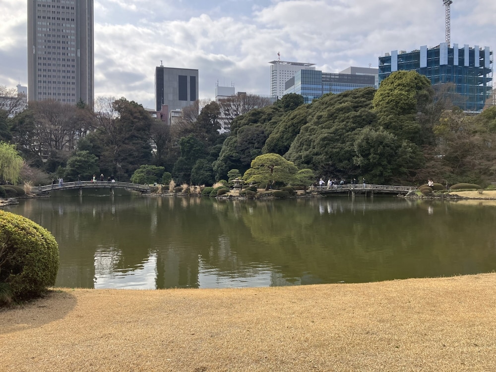 Toyoko Inn Shinjuku-Gyoemmae-Eki 3-Ban Deguchi 44/46