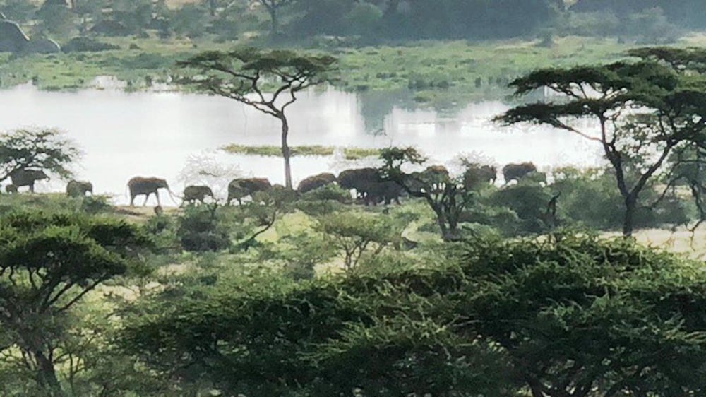 Seronera Wildlife Lodge 30/40