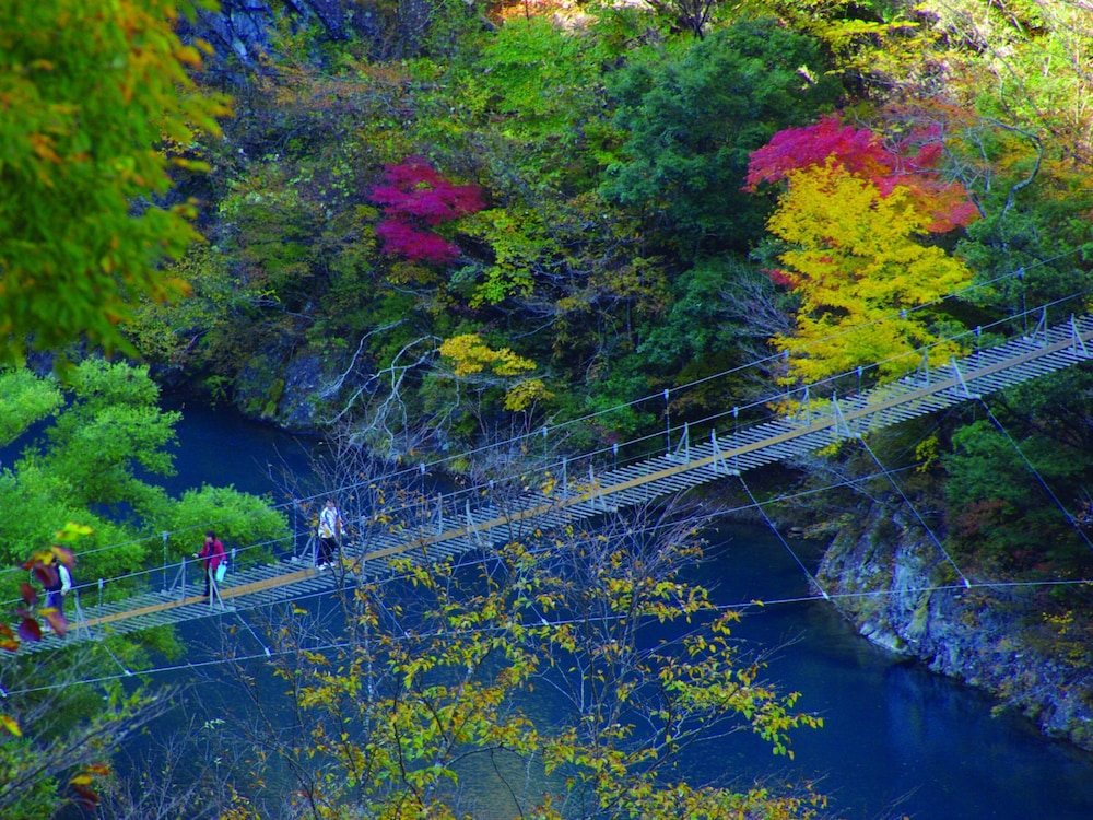 Sumatakyo Onsen Okuoi Kanko Hotel Suikoen 54/58