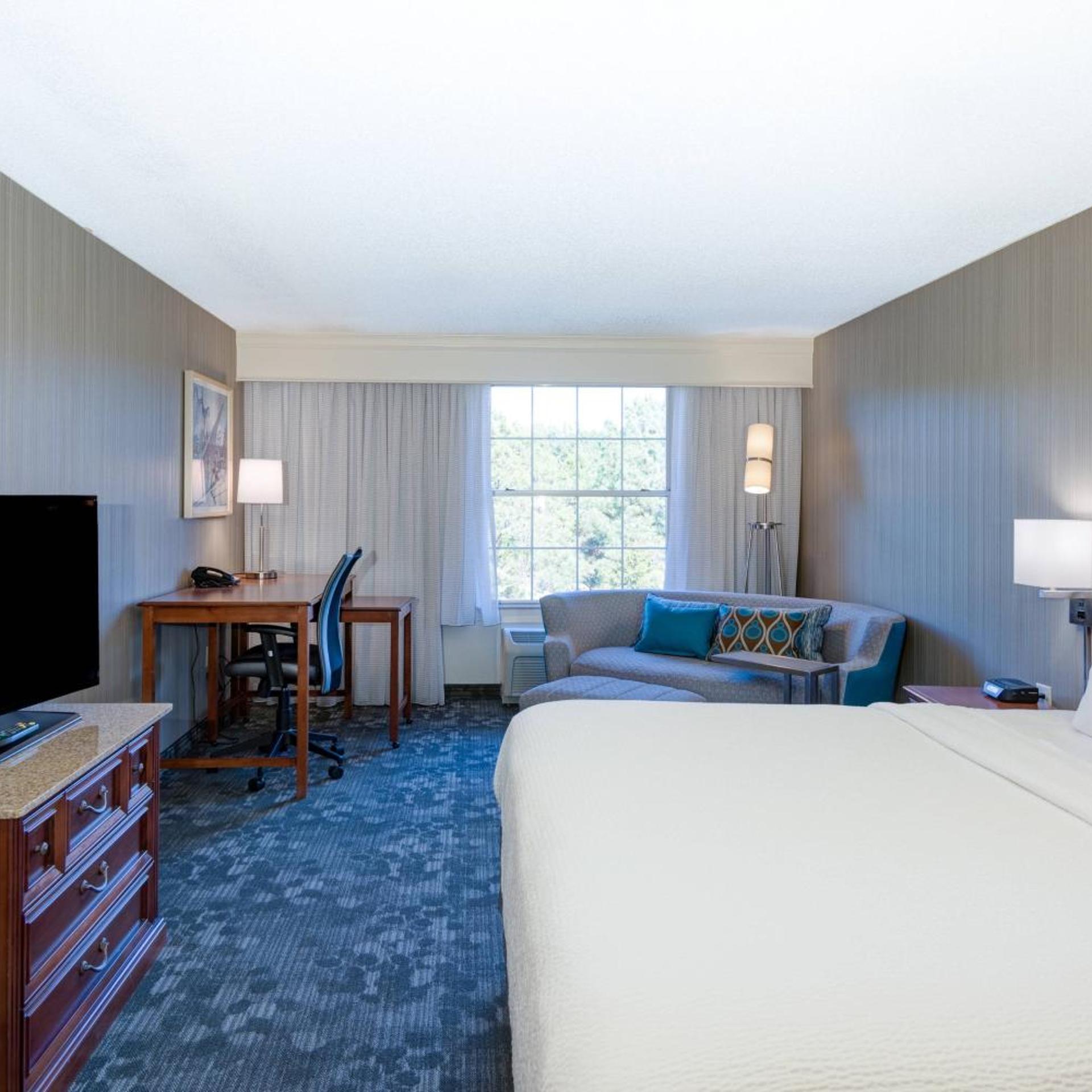 Room, King Bed, Sofa, Bathtub, Accessible