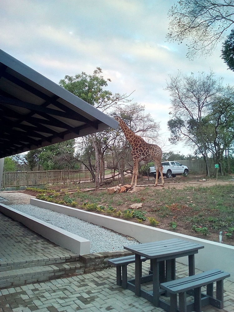 Hazyview Buffalo Game Lodge 15/29