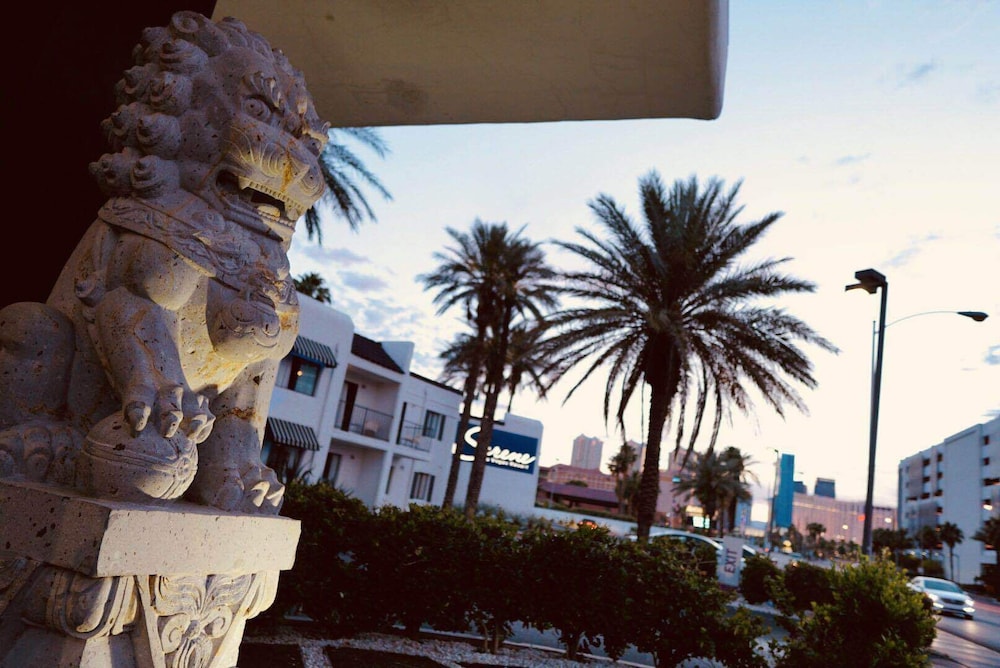 Serene Vegas Boutique Hotel 5/50