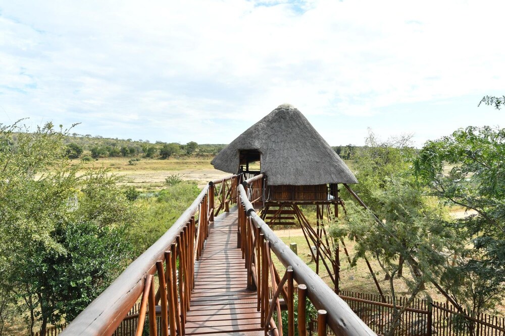 Bona Ngwenya Lodge 38/45