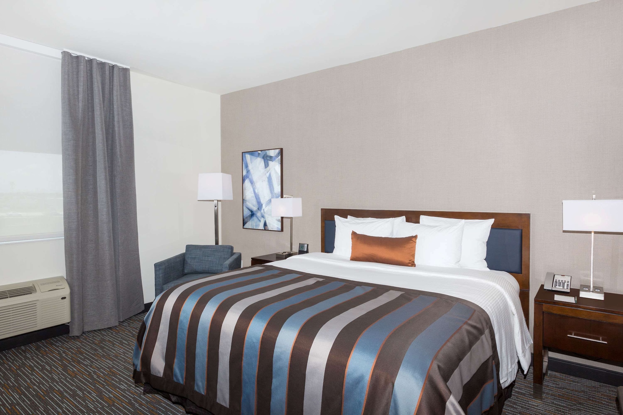 Suite, King Bed, Murphy Bed, Accessible