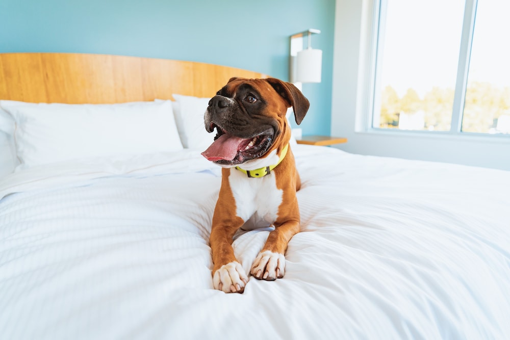 Staybridge Suites Sacramento - Folsom 26/79