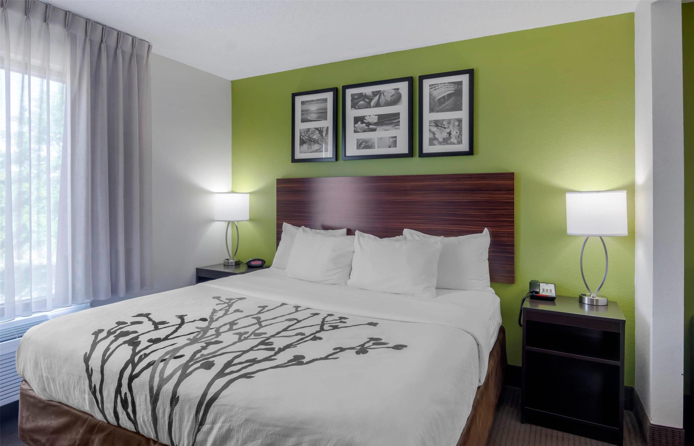 Room, King Bed, Accessible
