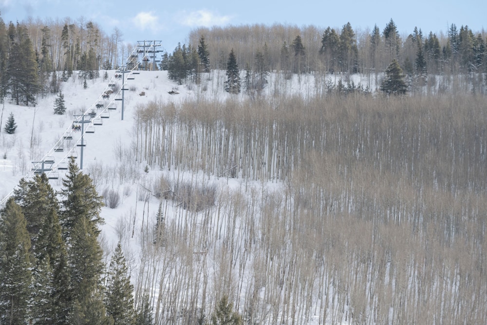 Grand Hyatt Vail Resort and Spa 70/72
