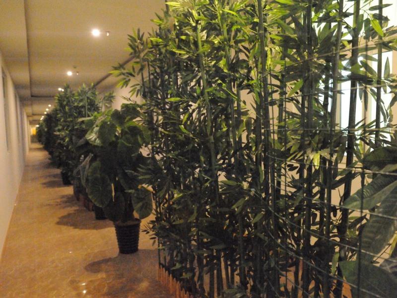 GreenTree Alliance Liaocheng Dongchangfu District Chenkou Road Liaocheng University Hotel 45/50