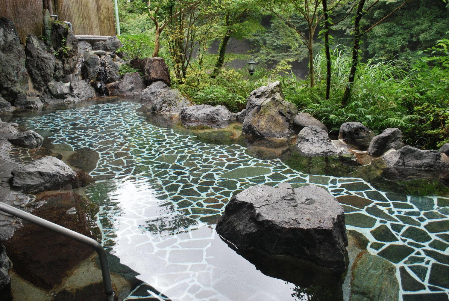 Hakone Tonosawa Onsen Shiunso 21/50