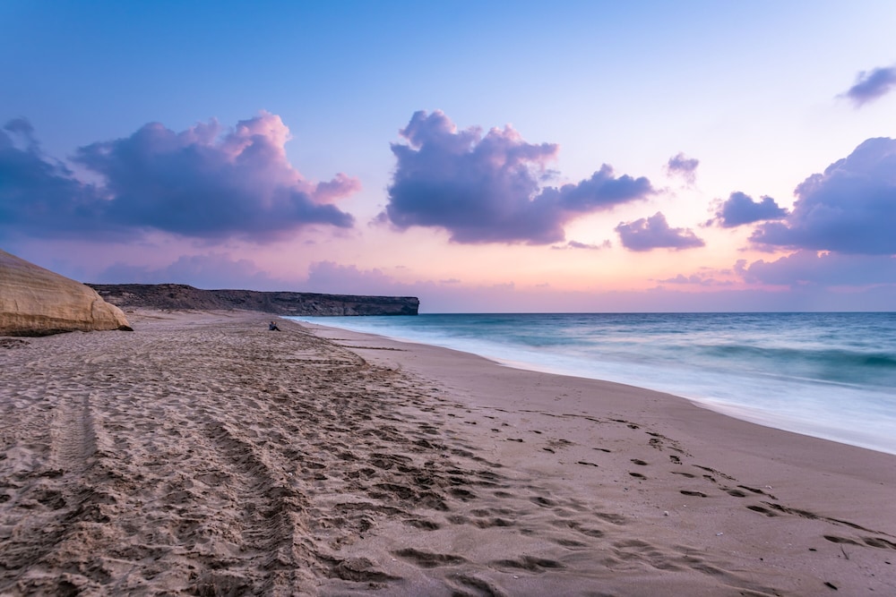 Ras Al Jinz Turtle Reserve 29/40