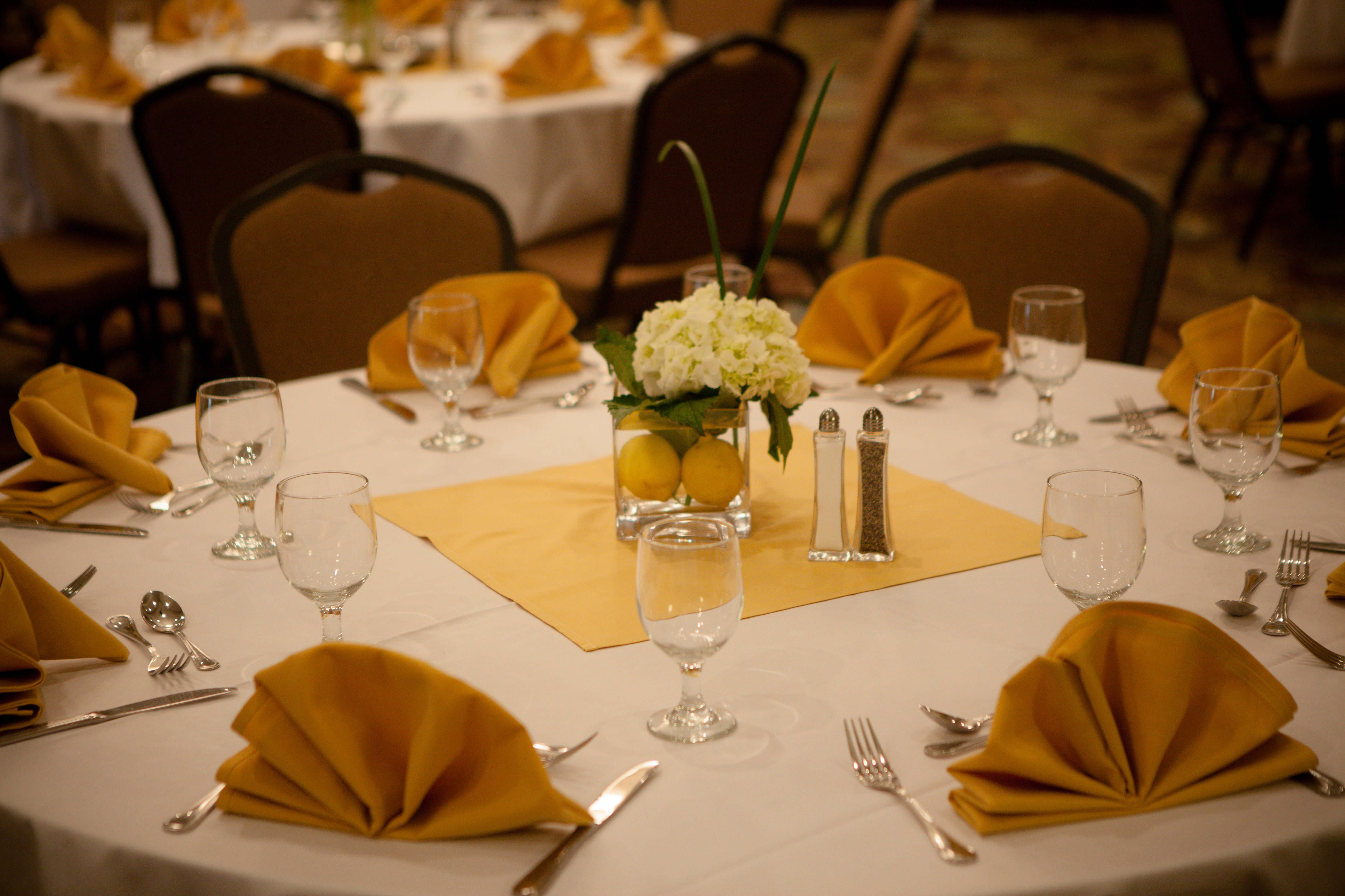 Holiday Inn Greenville 27/39