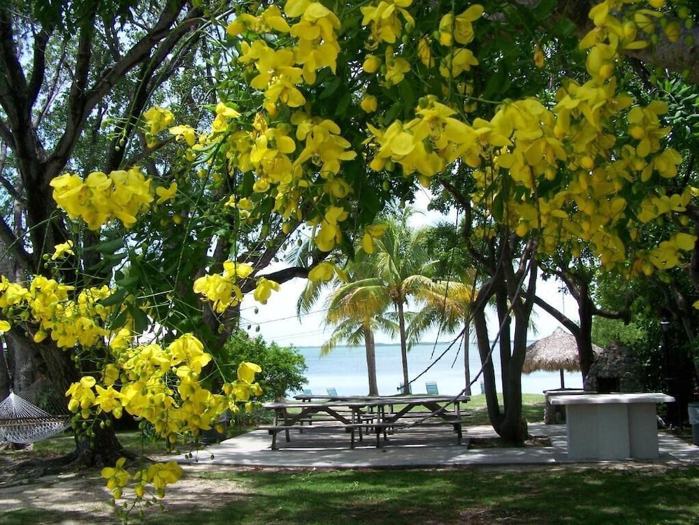 Rock Reef Resort 75/77