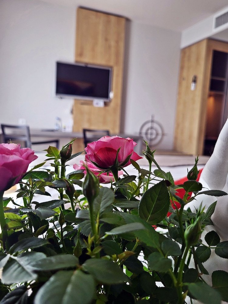 Hotel Forza 28/50