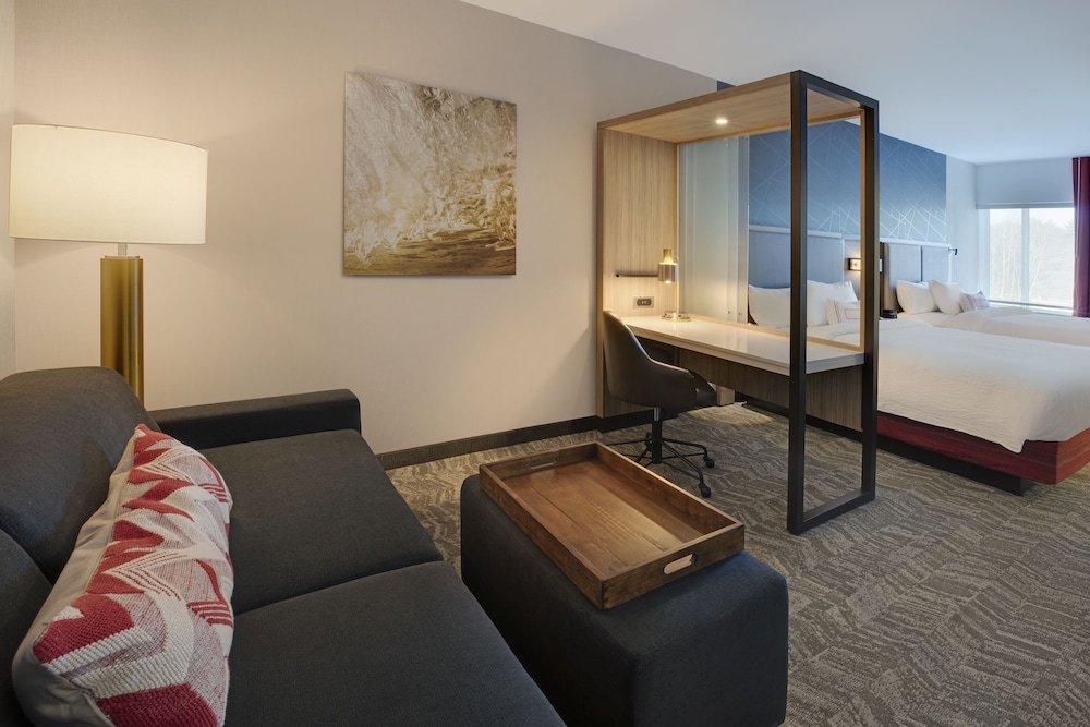Springhill Suites By Marriott Hampton Portsmouth 18/31