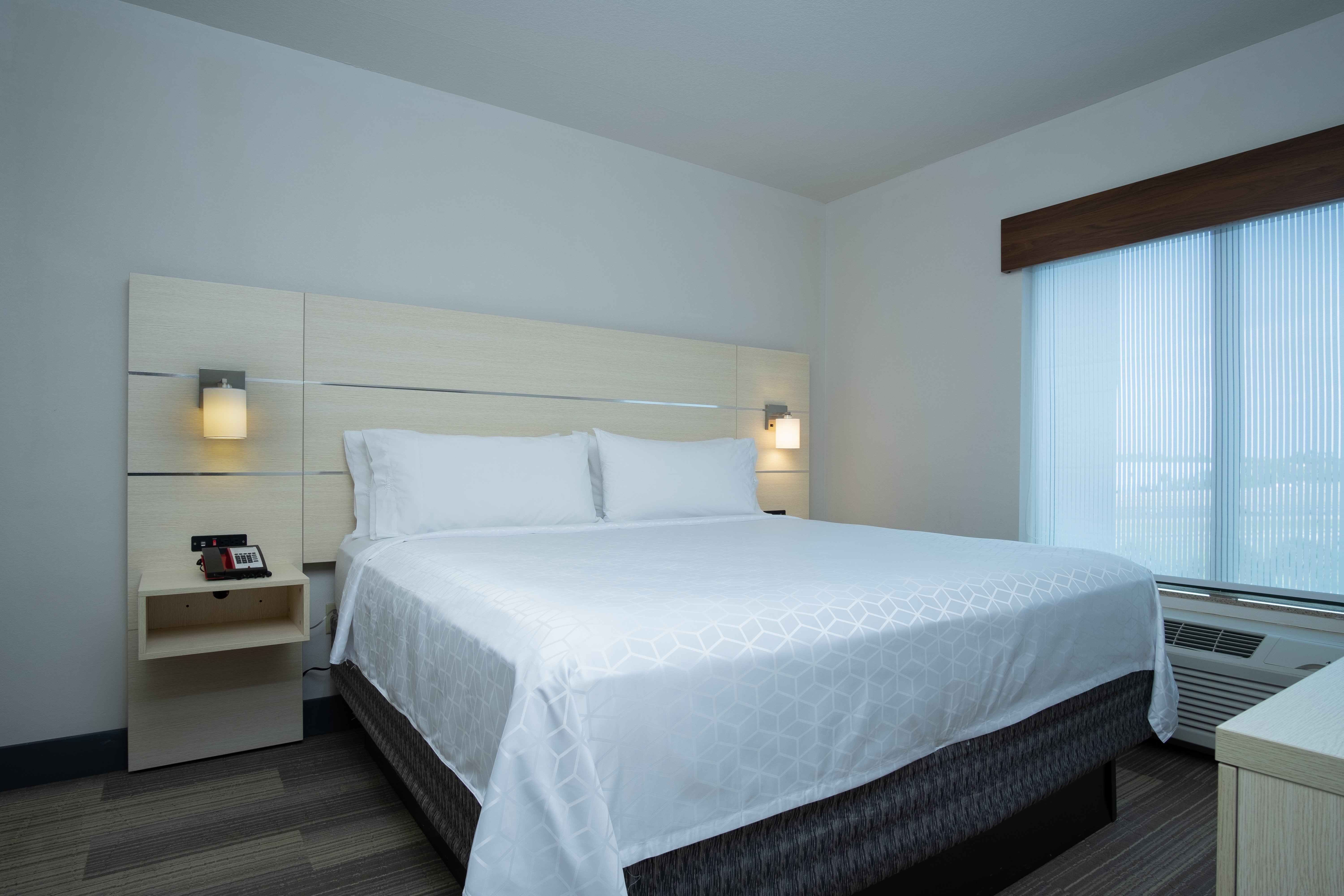 Holiday Inn Express and Suites Orlando - International Drive 23/79