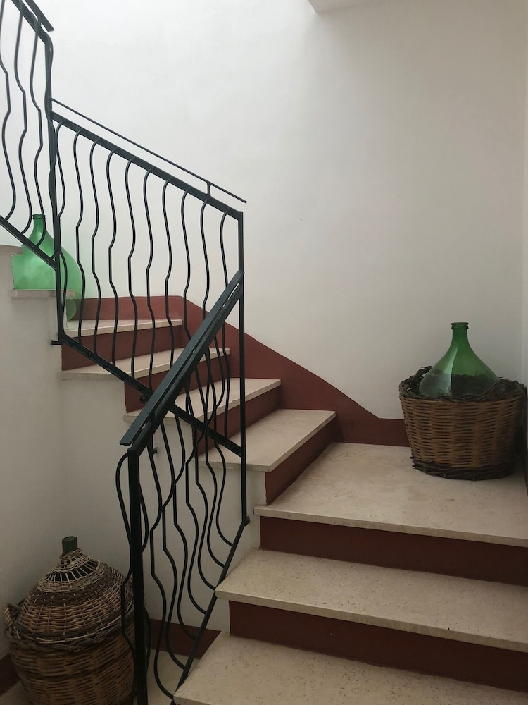 Tenuta Belvedere 19/50
