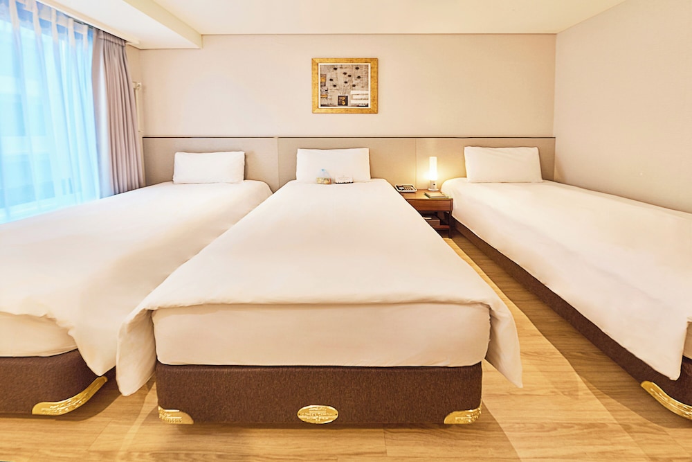 Hotel Thomas Myeongdong 21/57