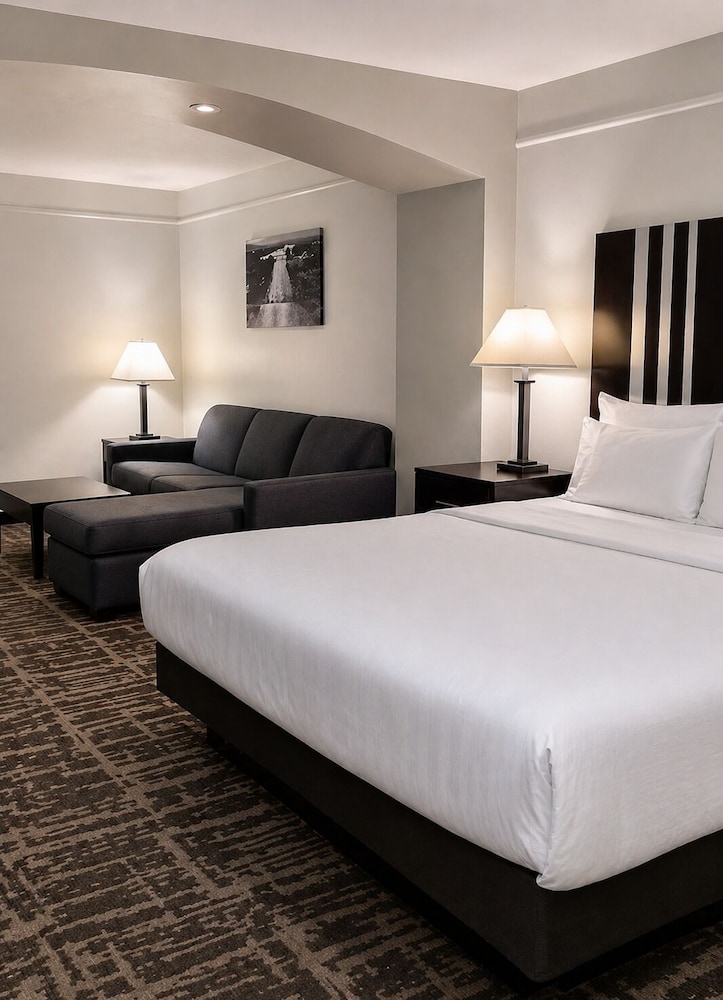 La Quinta Inn & Suites by Wyndham Kerrville 21/61
