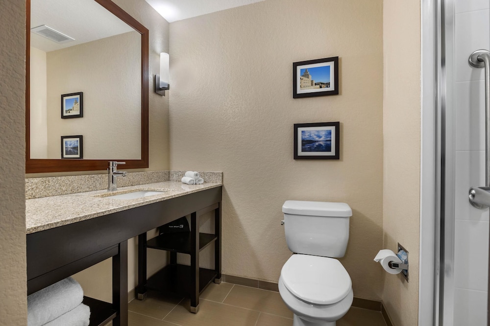Comfort Inn & Suites Cedar Rapids Cid Eastern Iowa Airport 20/44