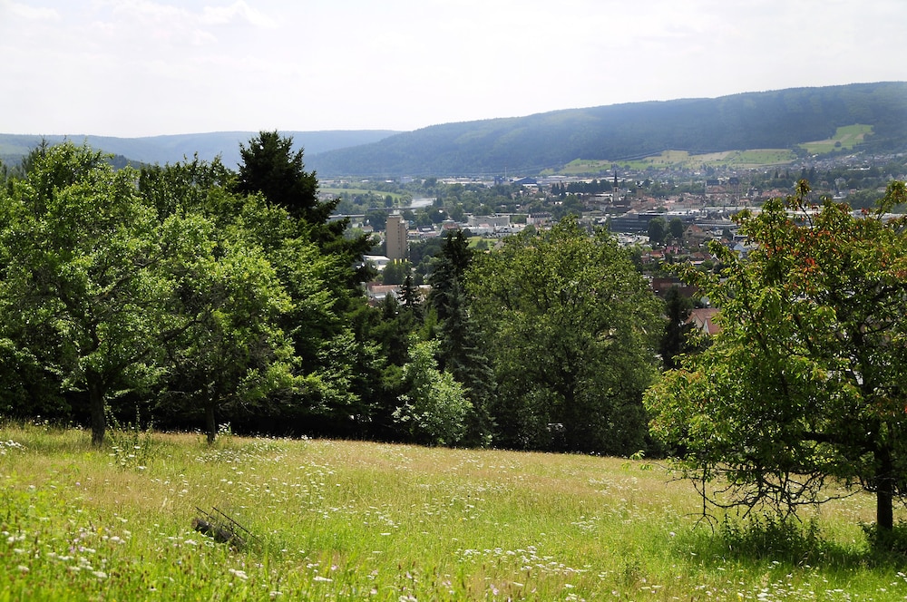 Roomingtons Franziskushohe Lohr 47/54