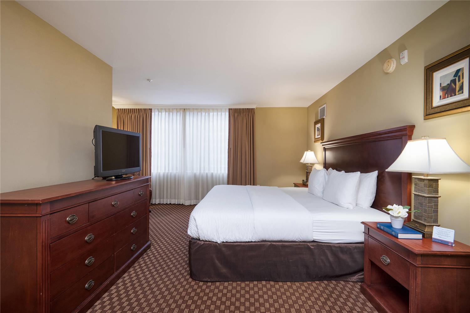 Suite, King Bed