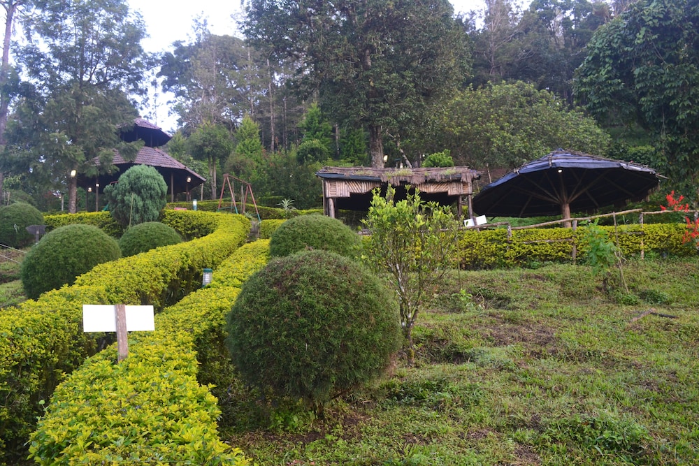 Nature Zone Resort 26/42