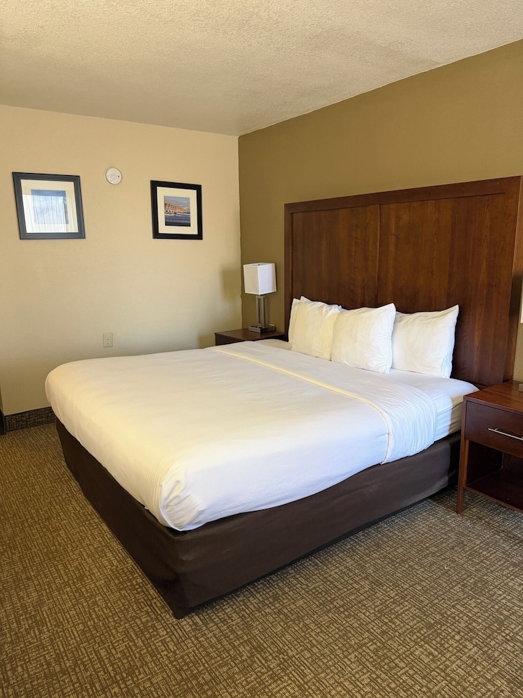 ROOM, KING BED, ACCESSIBLE