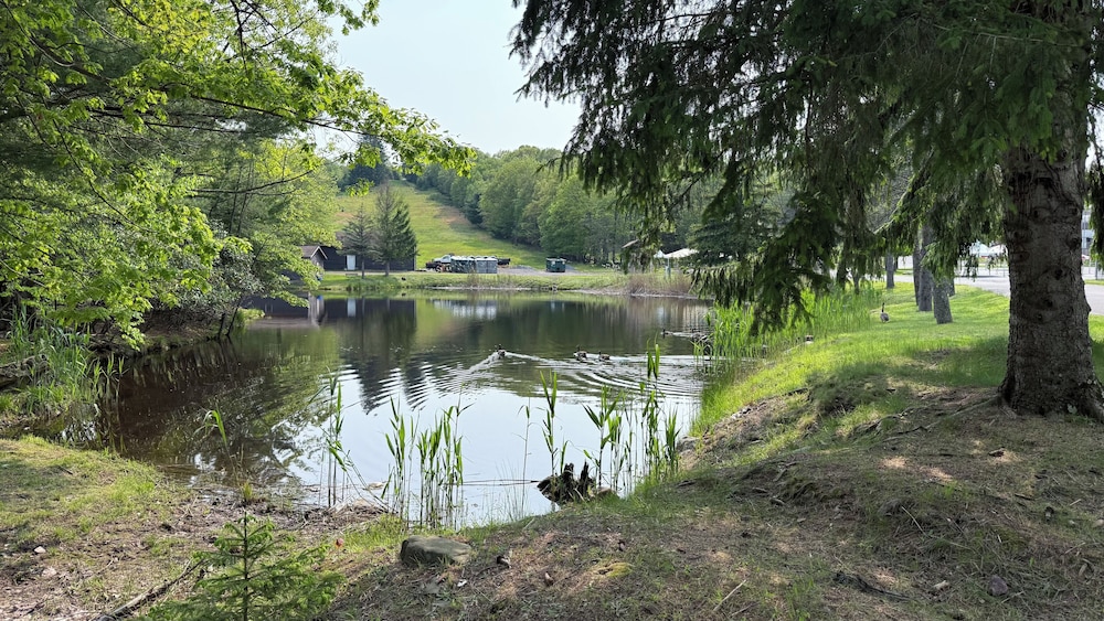 The Willowbrook Village at Lake Harmony, a Wyndham Hotel 39/49