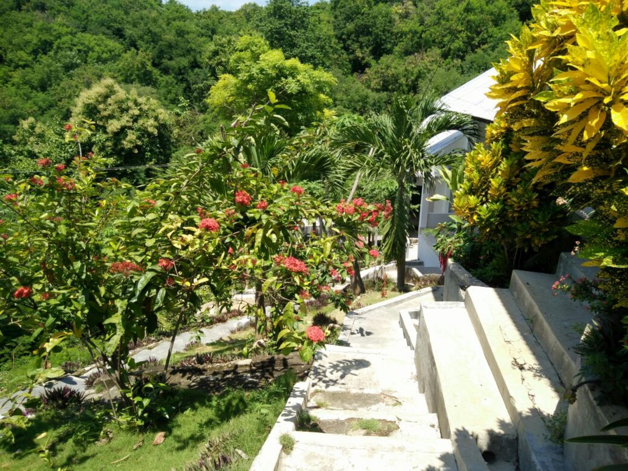 CF Komodo Hotel 26/36