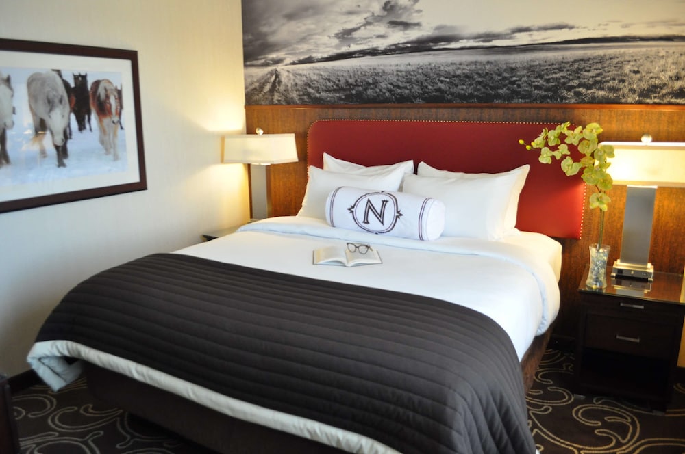 Northern Hotel 8/50
