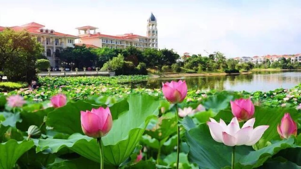 Country Garden Phoenix Hotel Taizhou 14/18