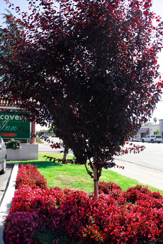 Discovery Inn 27/34
