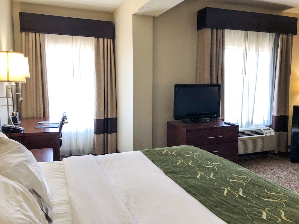 Comfort Suites Regency Park 6/34
