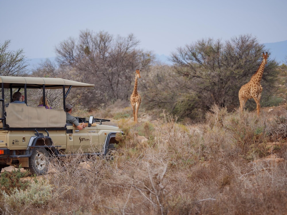 Sanbona Wildlife Reserve 28/50