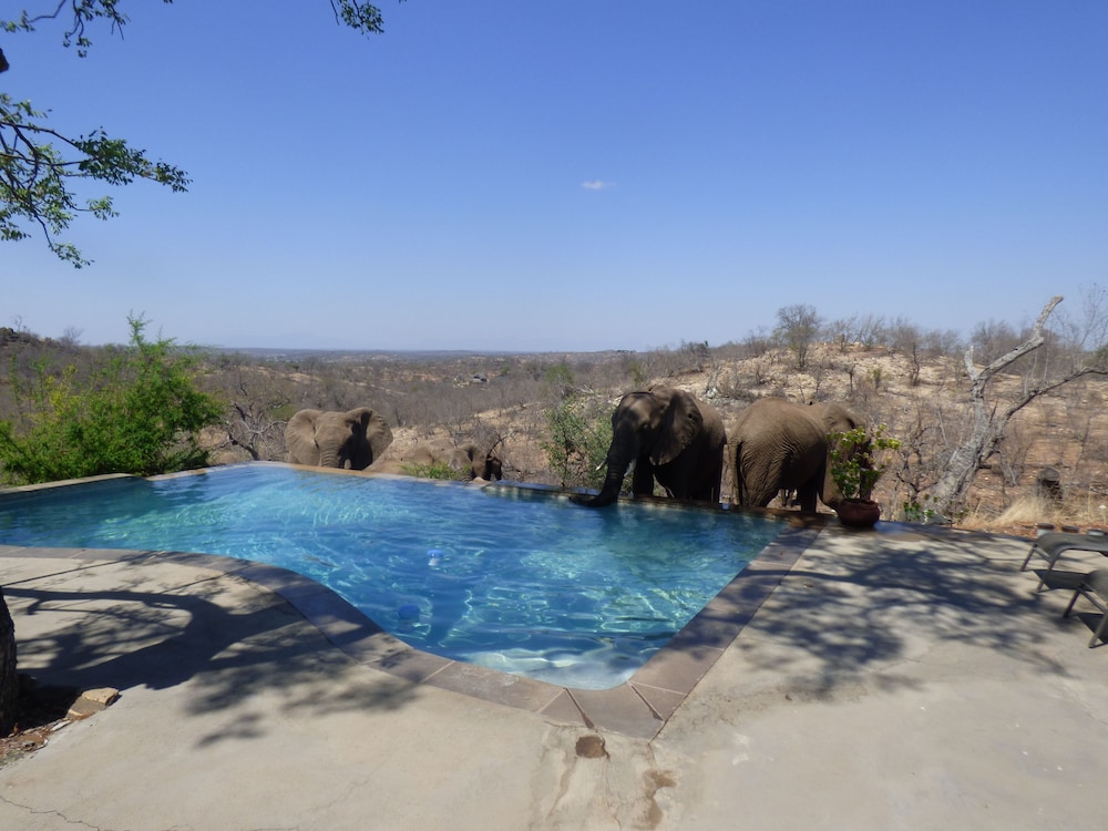 Mbizi Bush Lodge 44/50