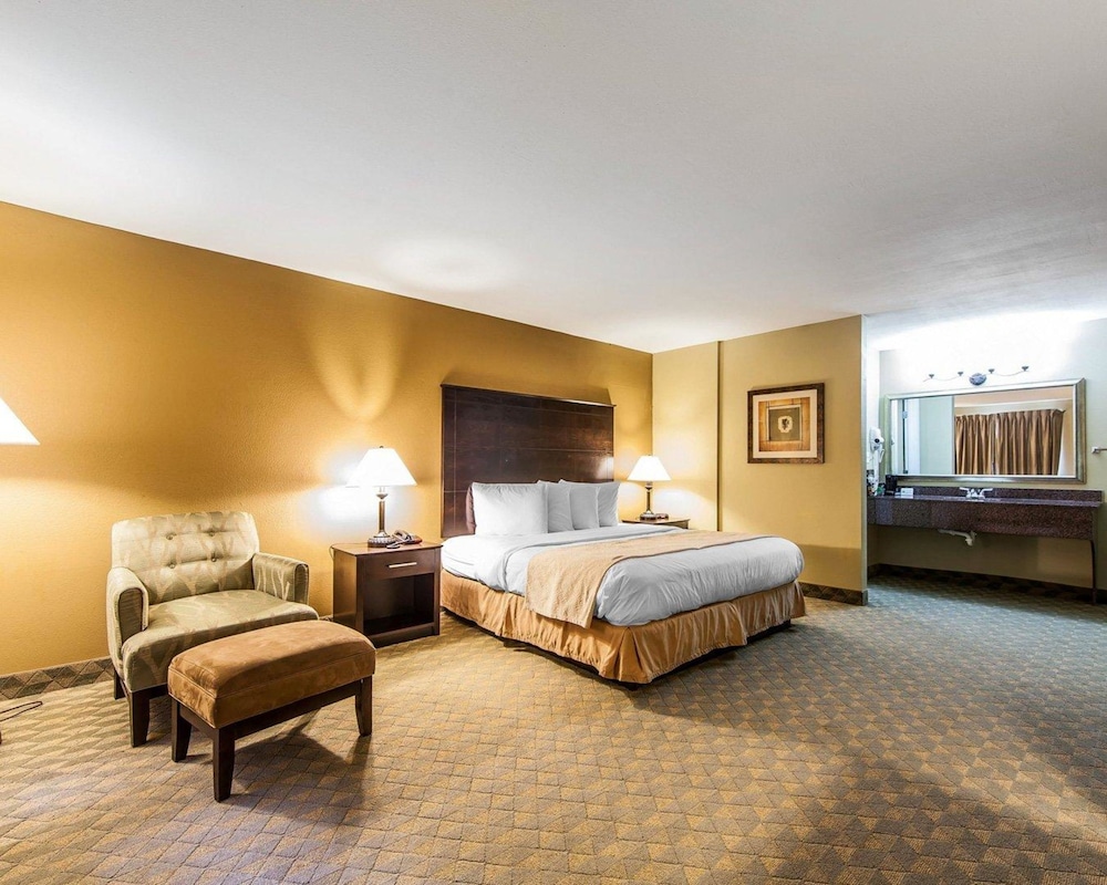 Quality Inn & Suites Bremen, GA 17/37