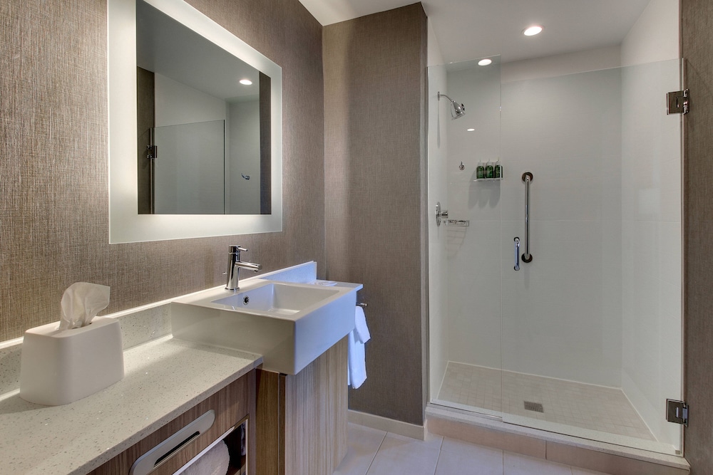SpringHill Suites by Marriott Montgomery Downtown 15/50