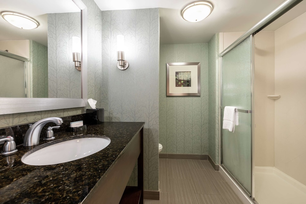 Hampton Inn Anderson/ Alliance Business Park 20/45