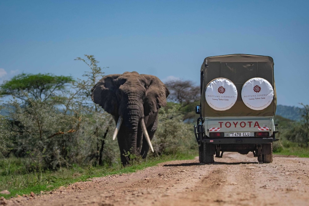 Neptune Serengeti Luxury Tented Camp in SERENGETI NATIONAL PARK