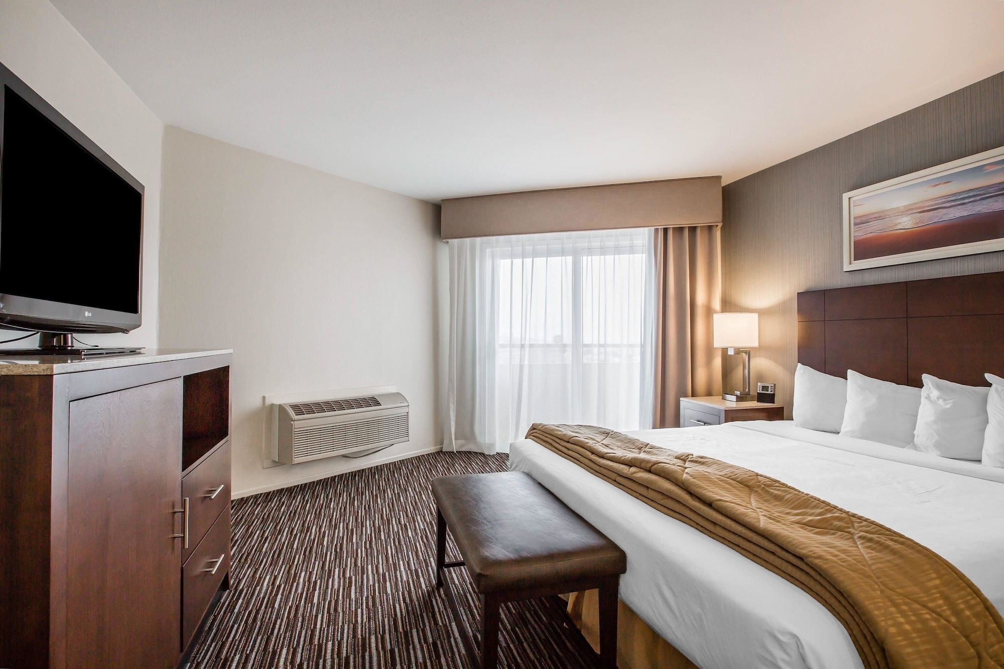 Standard, King Bed, Accessible