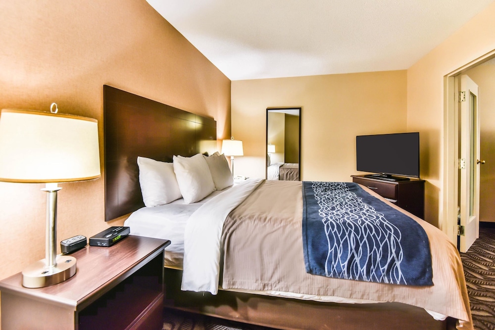 Comfort Inn & Suites Ambassador Bridge 9/39