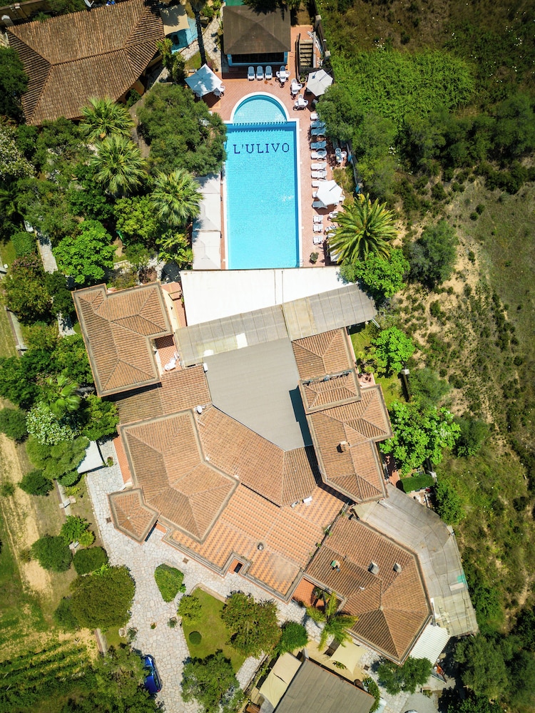 L'ulivo 30/49